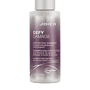 JOICO Defy Damage Protective Shampoo 50 ml CEĻOJUMAM